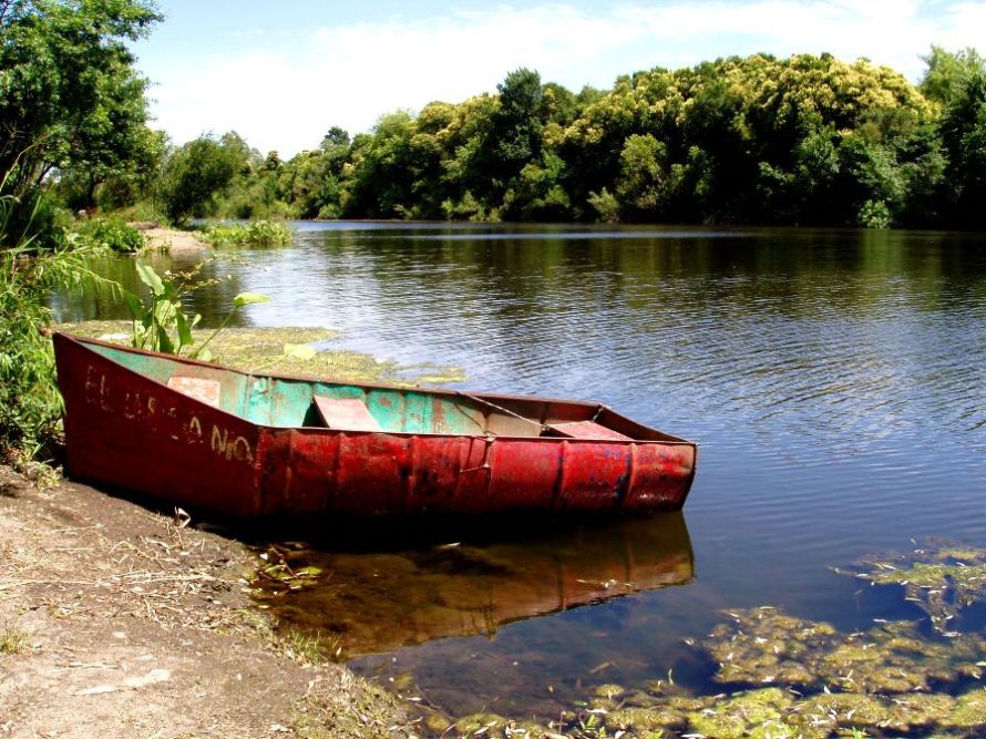 Sin Título - El Desgano