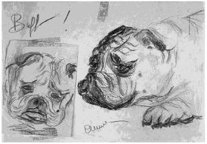 Aquí Anna Magnani inmortalizó a Buffo, el Bulldog de Tennessee. (Fuente: Tennesse Williams Notebooks)